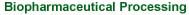 Biopharmaceutical Processing